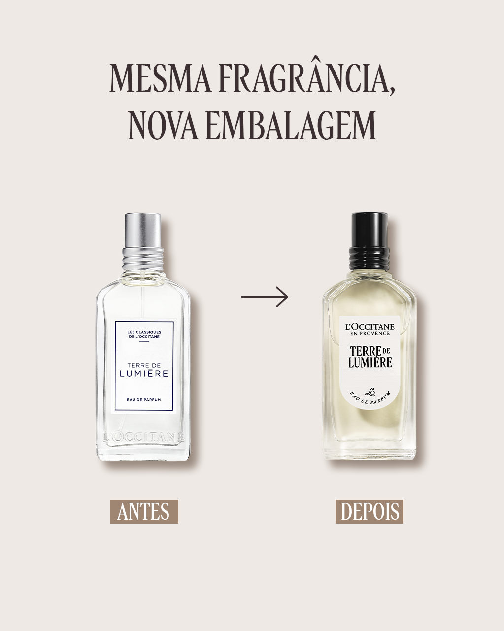 L'OCCITANE TERRE DE LUMIERE セット Eau de Parfum Terre de Lumière 50mL | L'Occitane en Provence